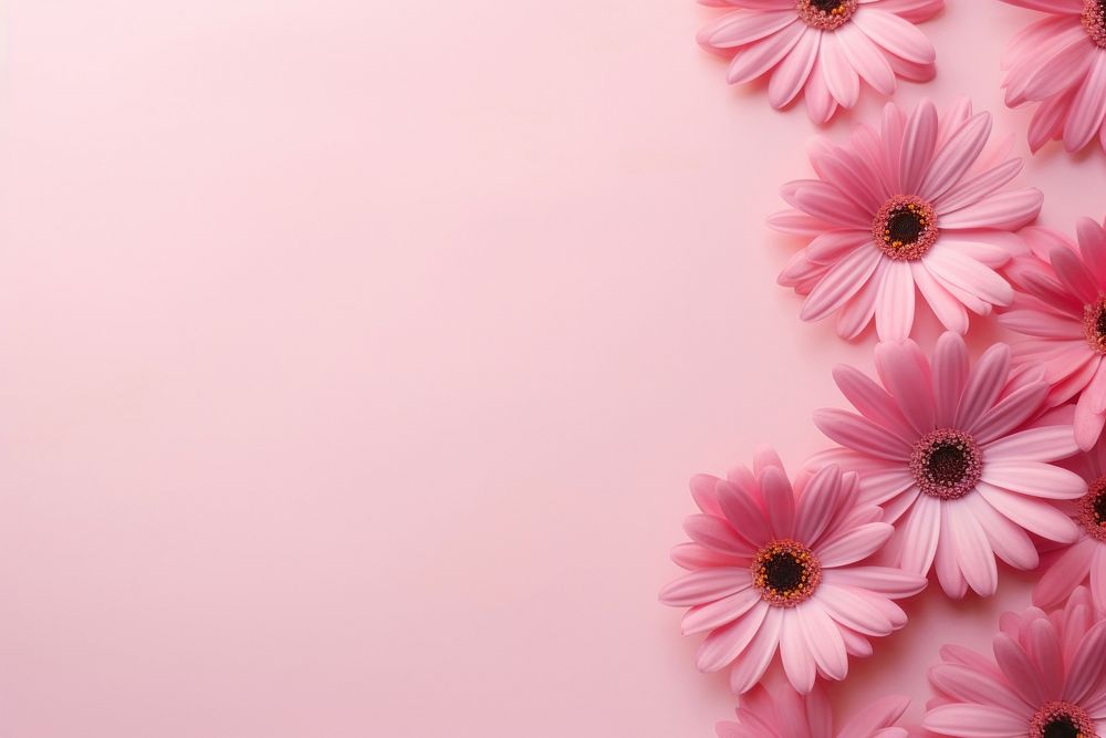 Pink flower backgrounds petal plant. AI generated Image by rawpixel.