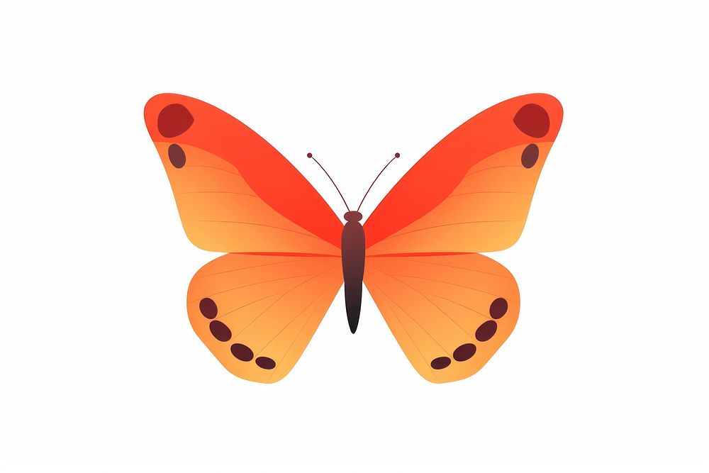 A butterfly insect animal white background. AI generated Image by rawpixel.