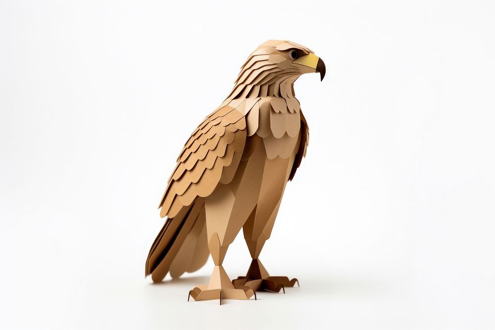 A hawk buzzard vulture animal. AI generated Image by rawpixel.