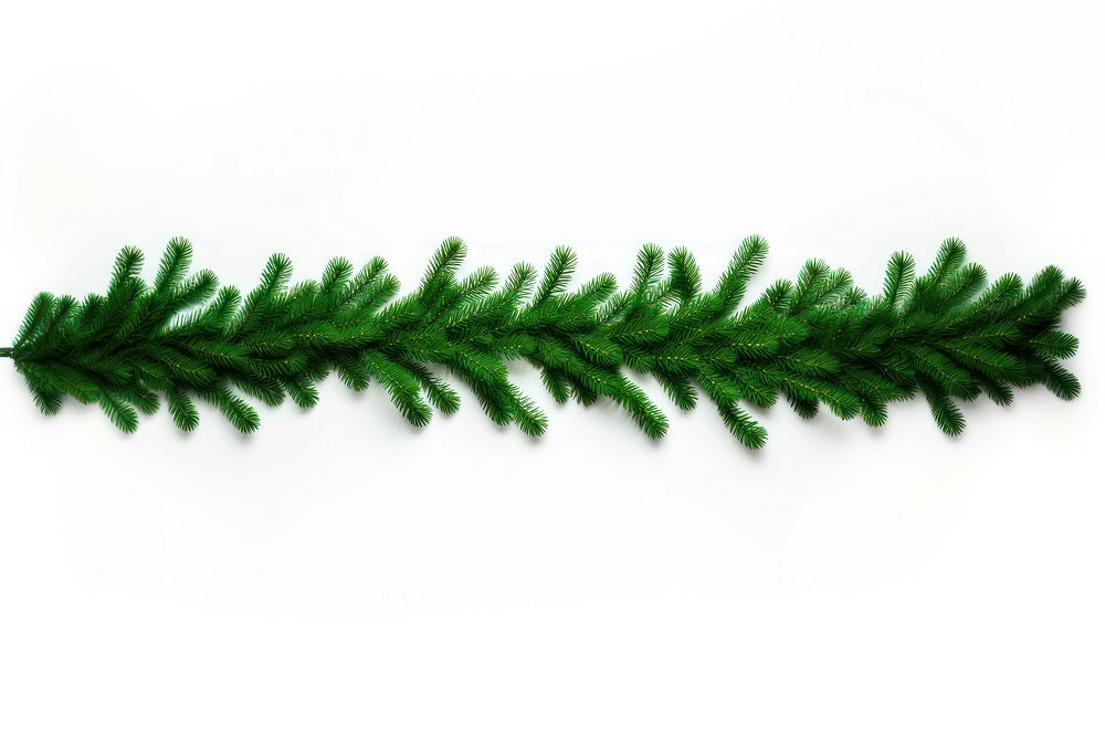 A Christmas garland from green pine twigs decoration christmas spruce. AI generated Image by rawpixel.