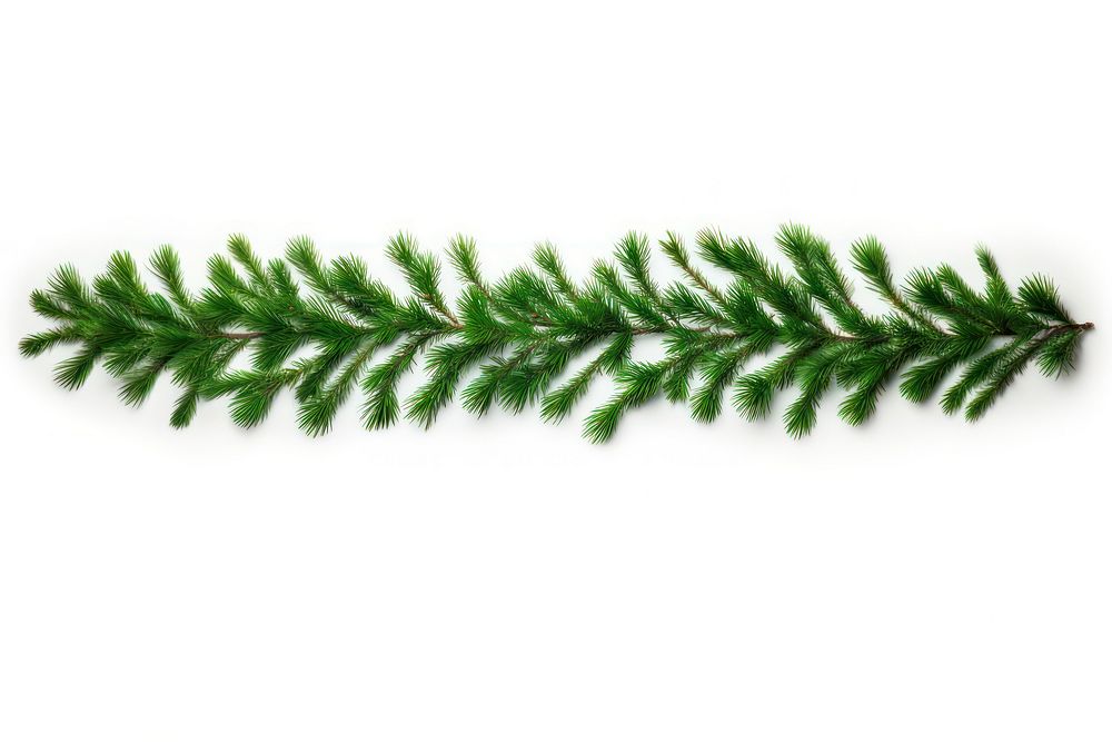 A Christmas garland from green pine twigs decoration christmas plant. AI generated Image by rawpixel.
