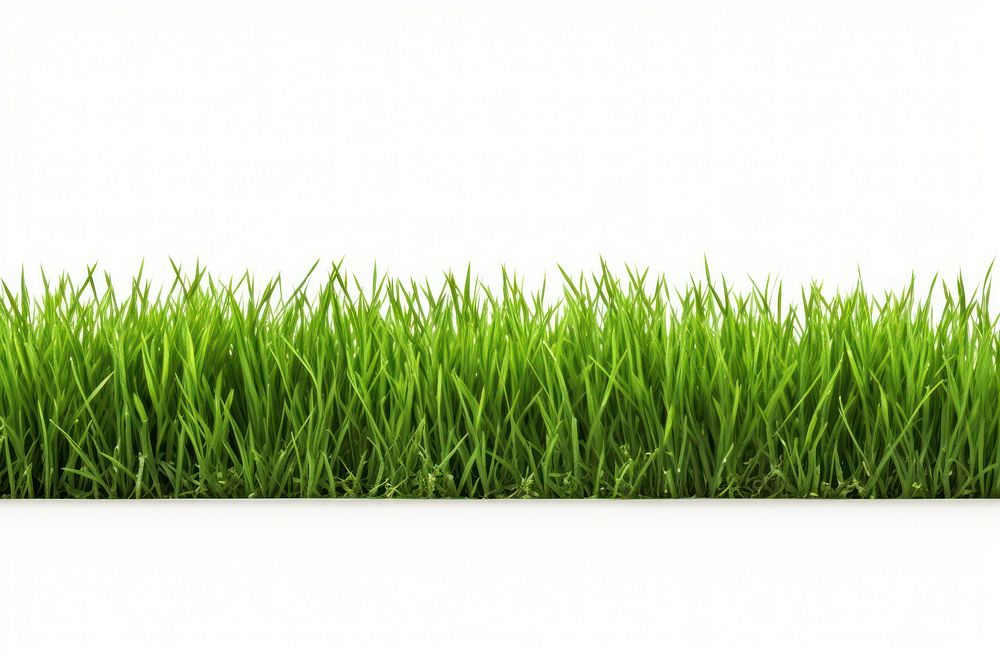 A green grass field backgrounds plant lawn. AI generated Image by rawpixel.