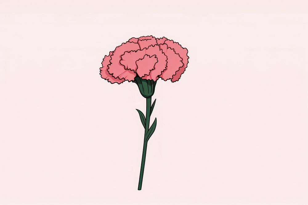 Carnation flower plant inflorescence. AI generated Image by rawpixel.