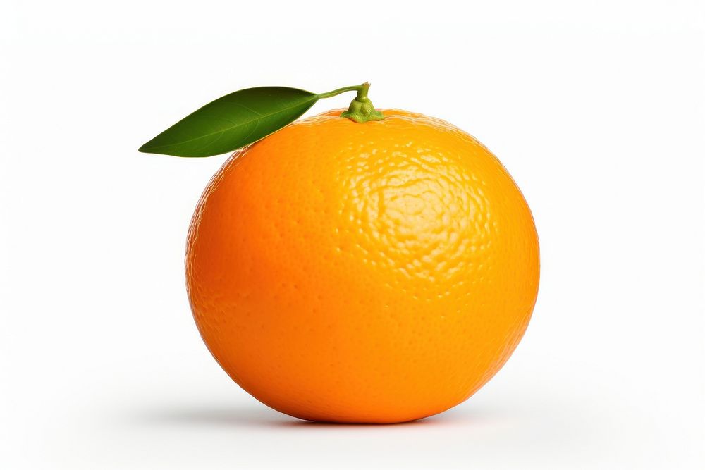 Chinese orange grapefruit plant food. AI generated Image by rawpixel.