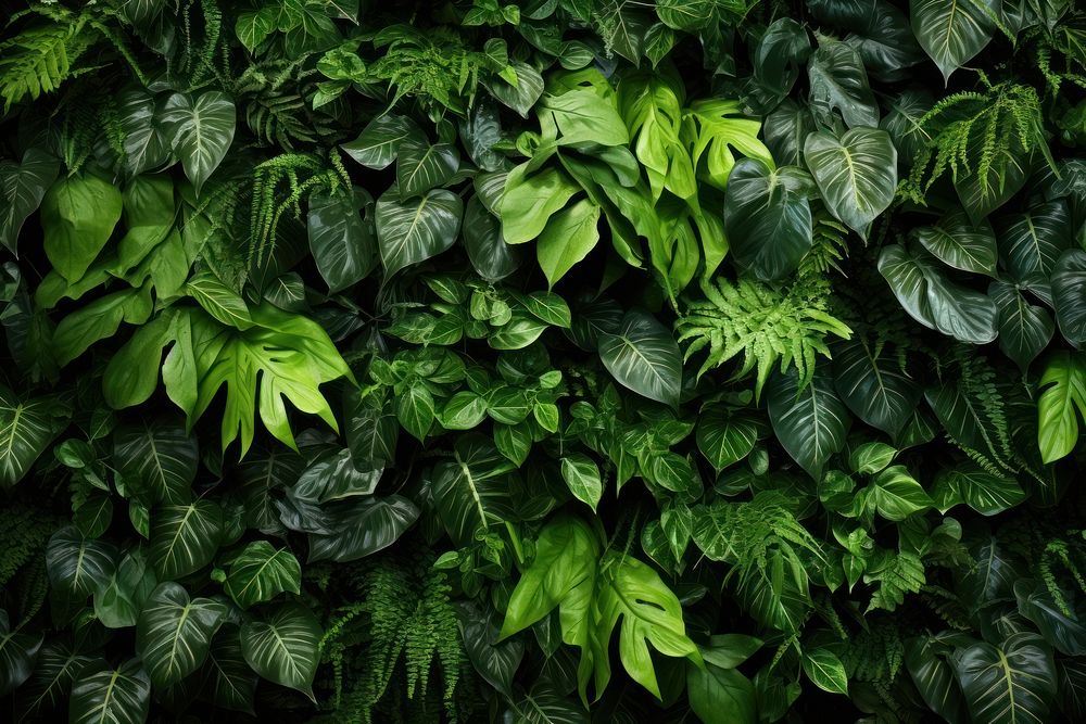 Greenery plants background backgrounds outdoors nature. AI generated Image by rawpixel.