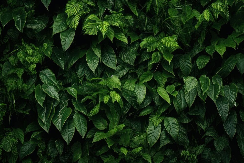 Greenery plants background backgrounds leaf tranquility. AI generated Image by rawpixel.