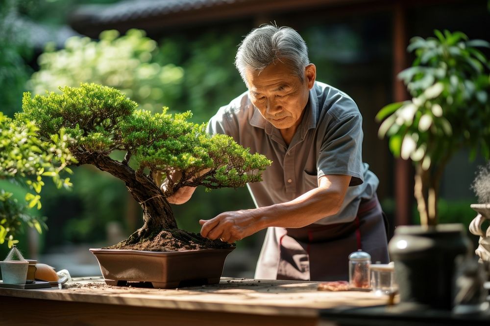 Bonsai garden outdoors nature. AI generated Image by rawpixel.
