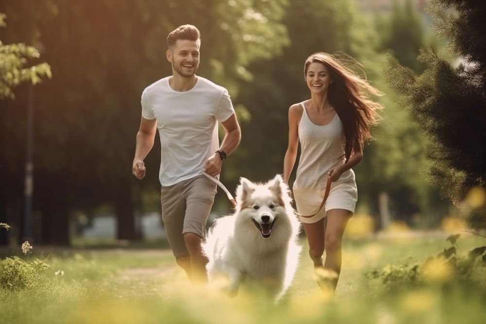 Young couple run and play with dog running mammal animal. 