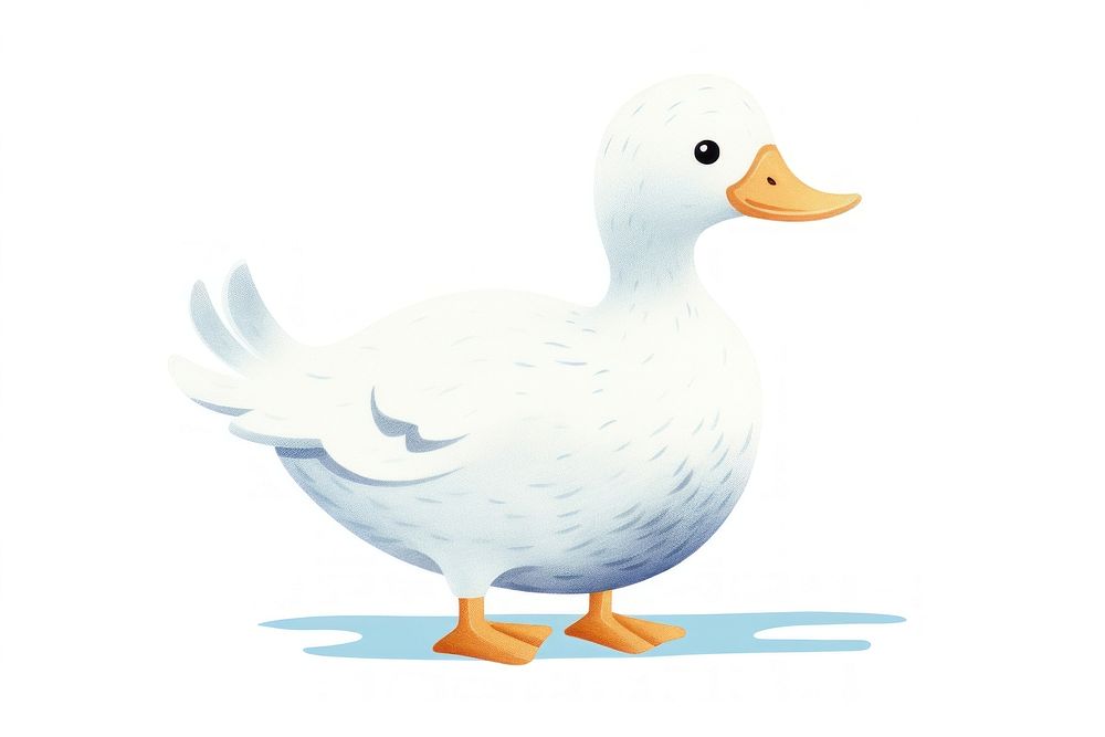 White duck animal bird white background. AI generated Image by rawpixel.