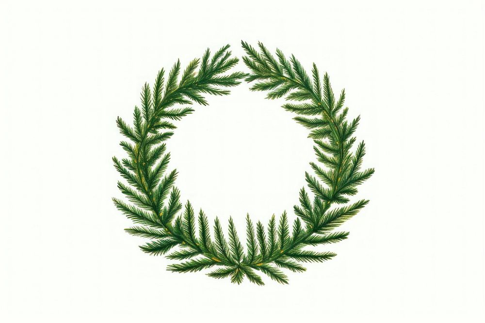 Pine tree wreath pattern plant leaf. AI generated Image by rawpixel.