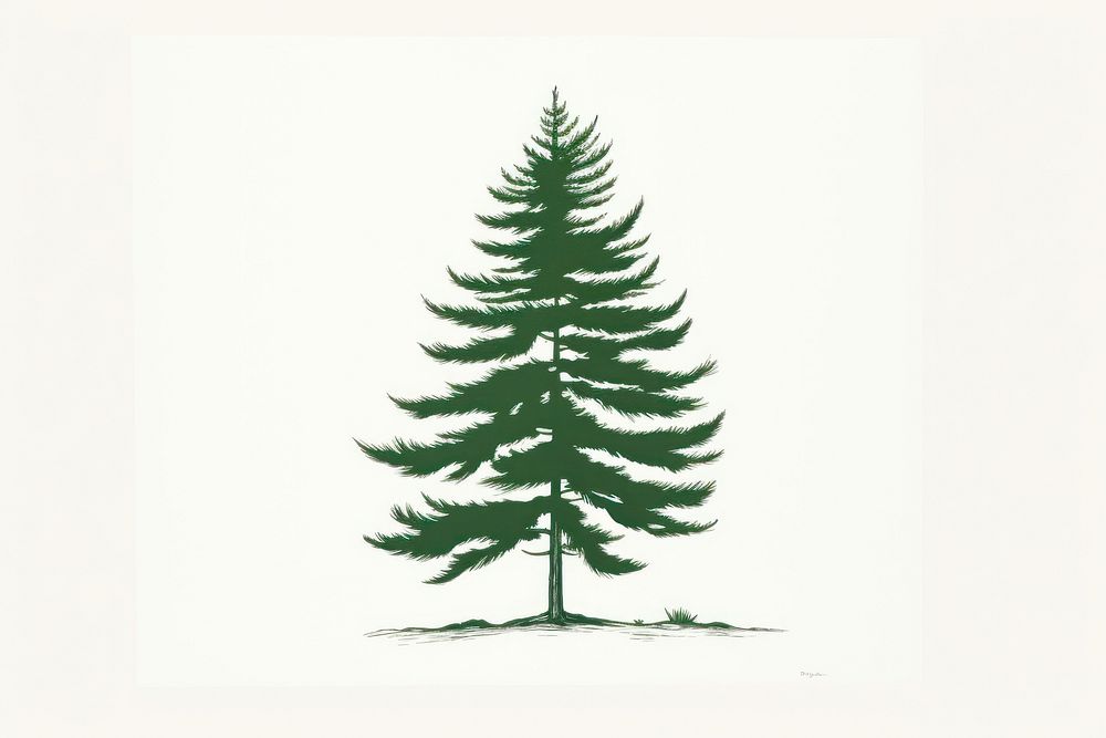 Pine tree plant fir tranquility. AI generated Image by rawpixel.