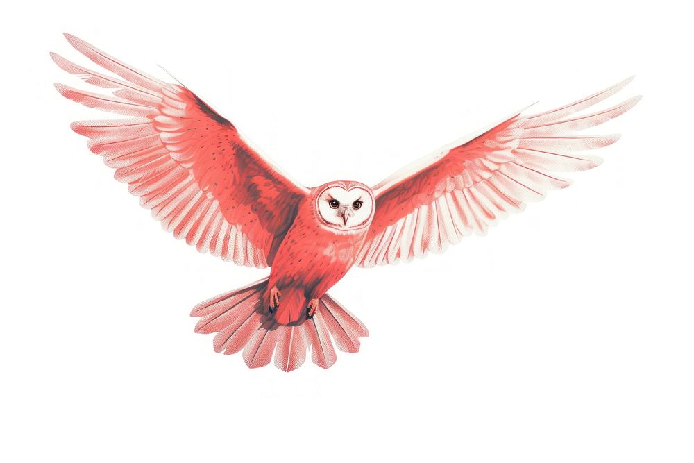 Owl flying animal bird beak. AI generated Image by rawpixel.