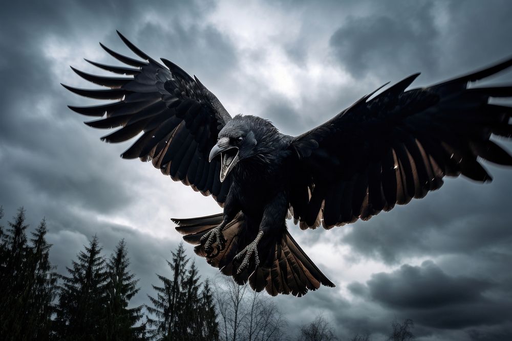 Raven vulture animal flying. AI generated Image by rawpixel.