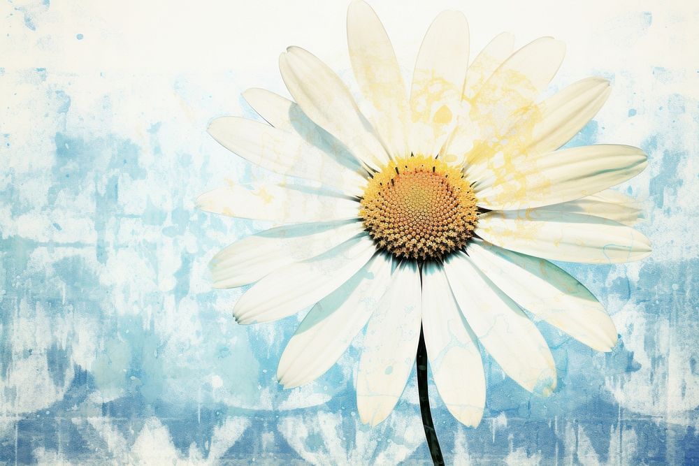 Daisy flower petal plant. AI generated Image by rawpixel.
