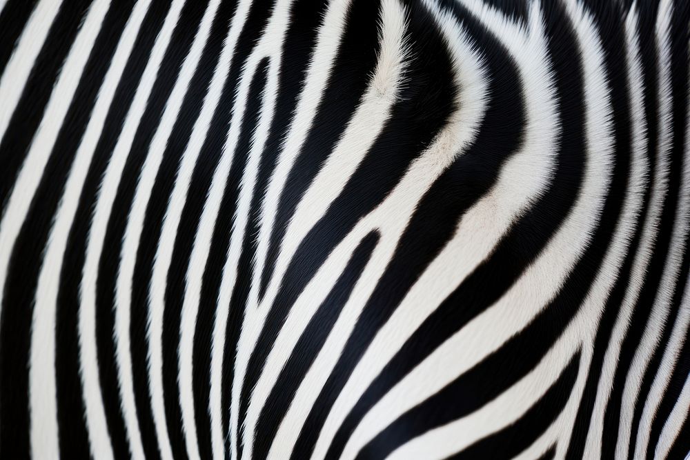 Zebra skin wildlife animal mammal. AI generated Image by rawpixel.