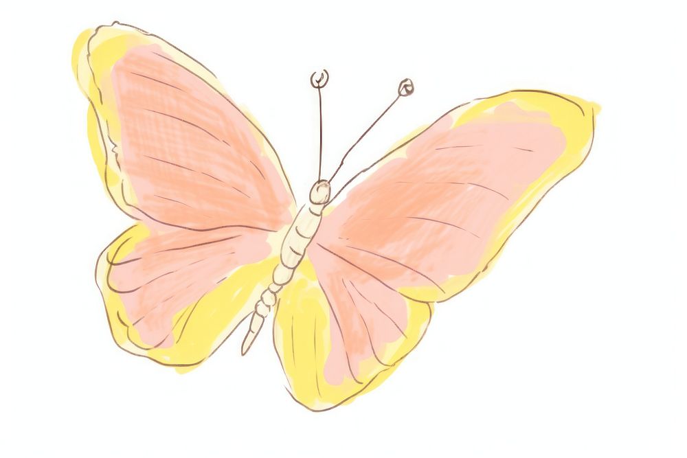 Butterfly drawing insect animal. AI generated Image by rawpixel.