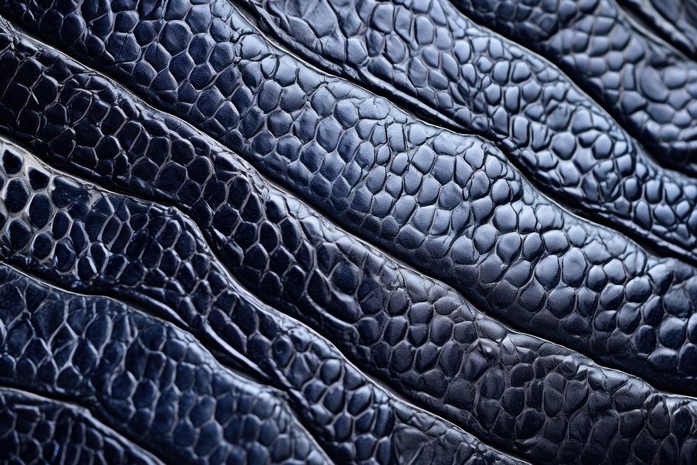 Whale skin texture snake blue. | Free Photo - rawpixel