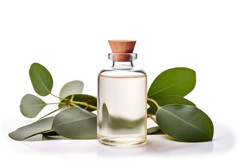 Eucalyptus oil perfume bottle white background. AI generated Image by rawpixel.