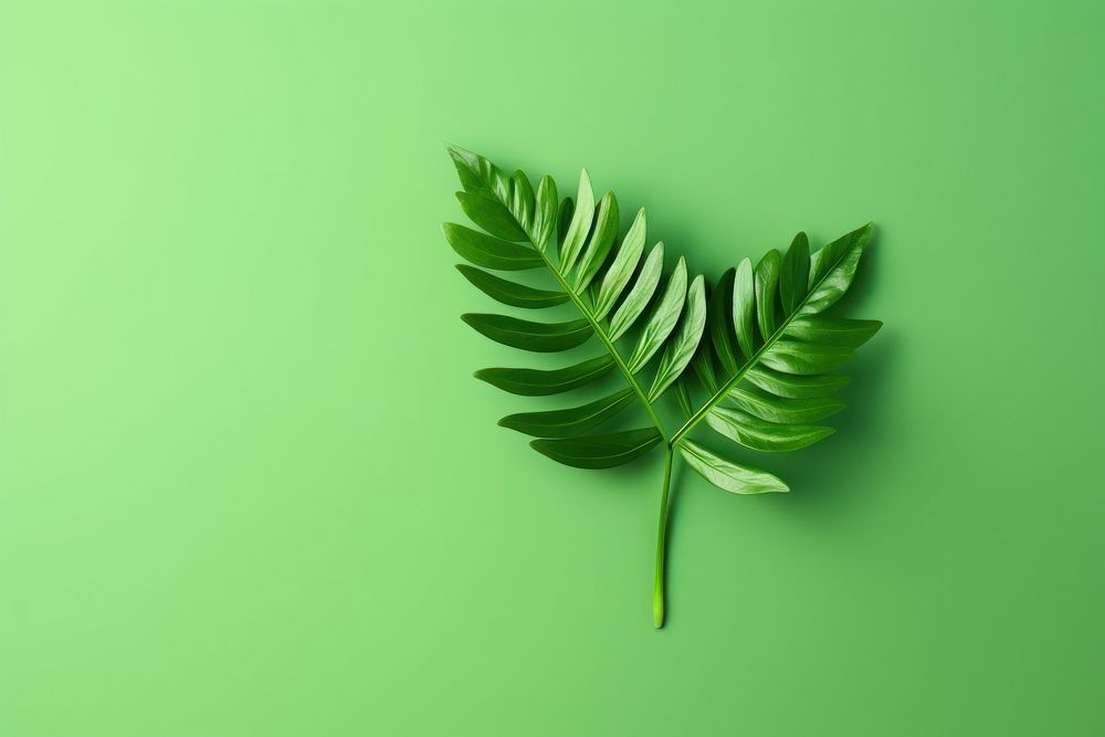 Clip plant green leaf. AI generated Image by rawpixel.