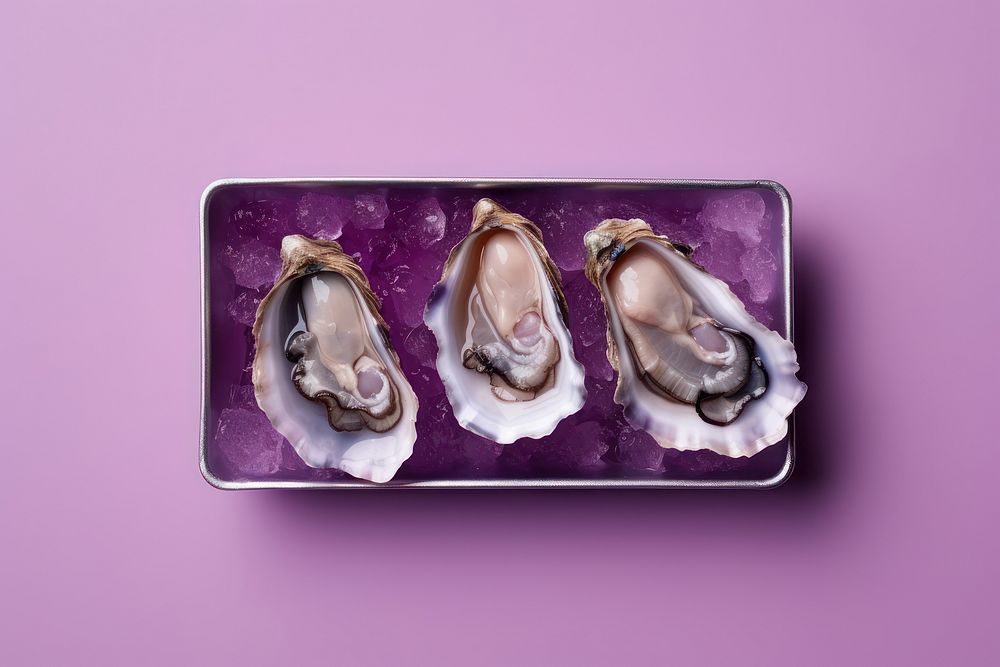 Steamed oysters seafood purple invertebrate. AI generated Image by rawpixel.