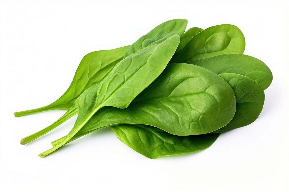 Green spinach leaf vegetable plant food. AI generated Image by rawpixel.