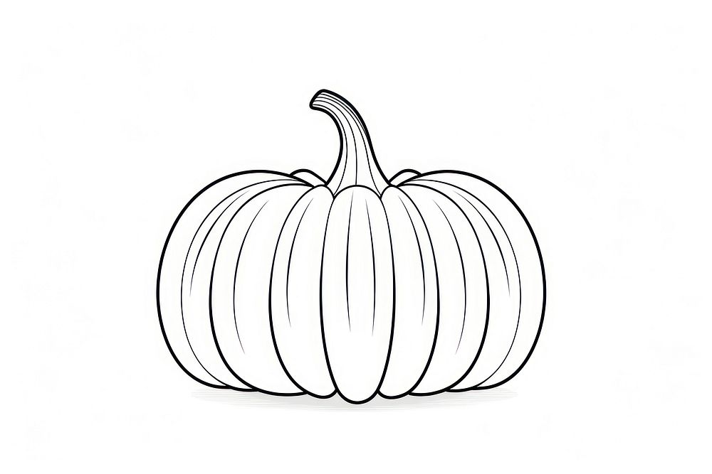 Pumpkin sketch vegetable drawing. AI generated Image by rawpixel.
