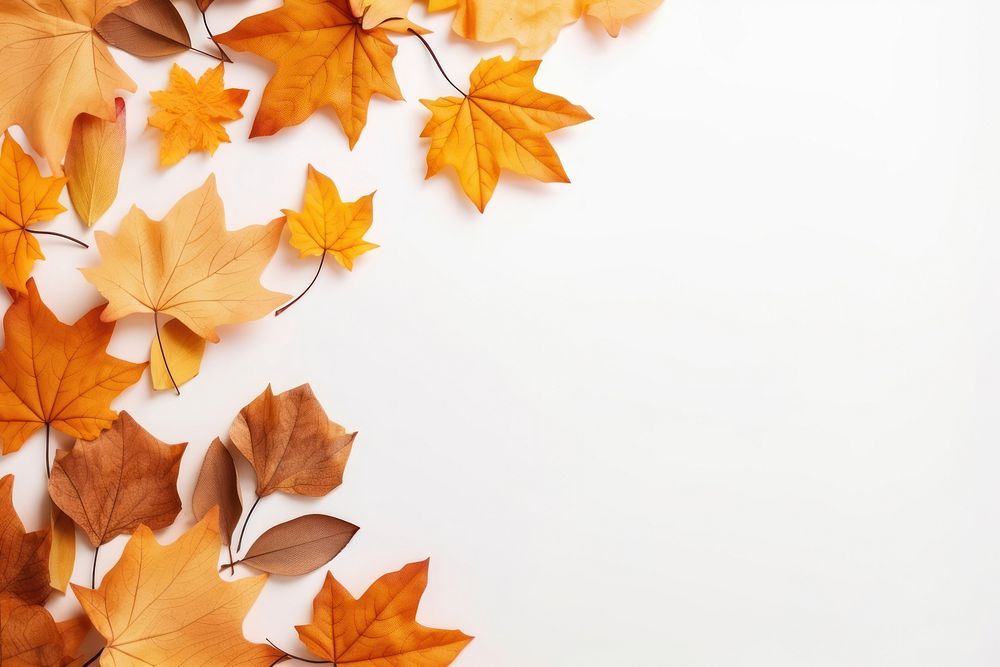 Thanksgiving and Autumn decoration backgrounds autumn leaves. AI generated Image by rawpixel.