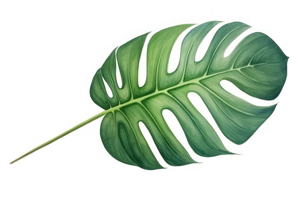 Tropical leaf plant freshness nature. AI generated Image by rawpixel.