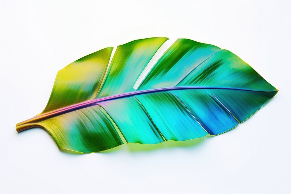 Banana leaf plant petal white background. AI generated Image by rawpixel.
