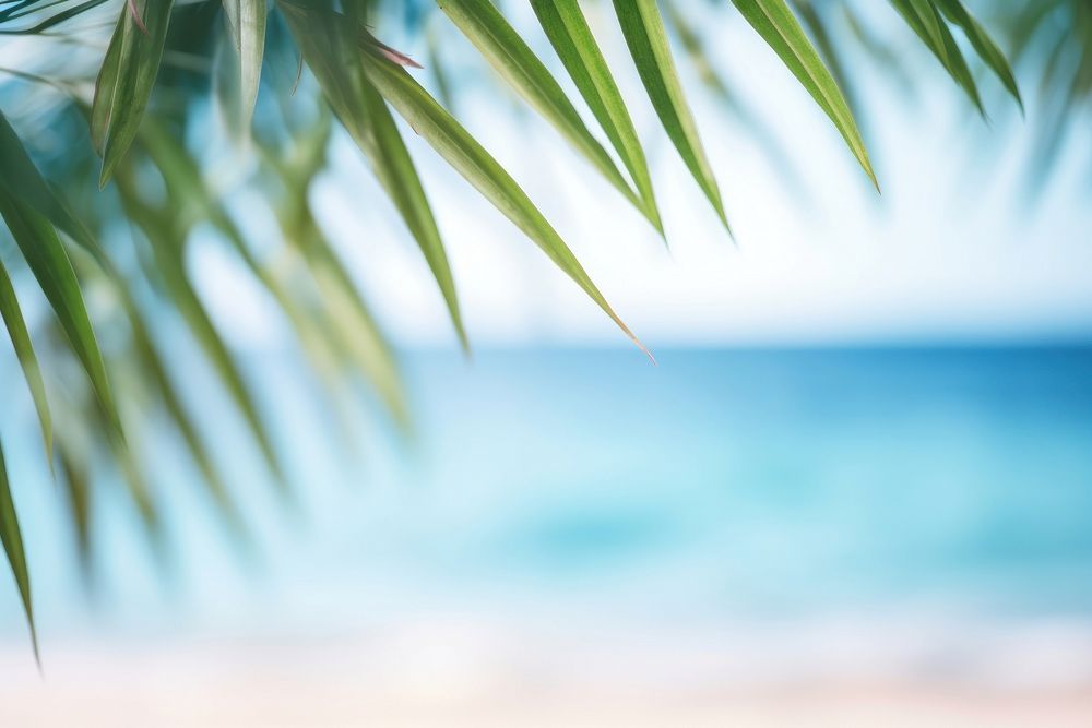 Summer background beach backgrounds defocused. AI generated Image by rawpixel.