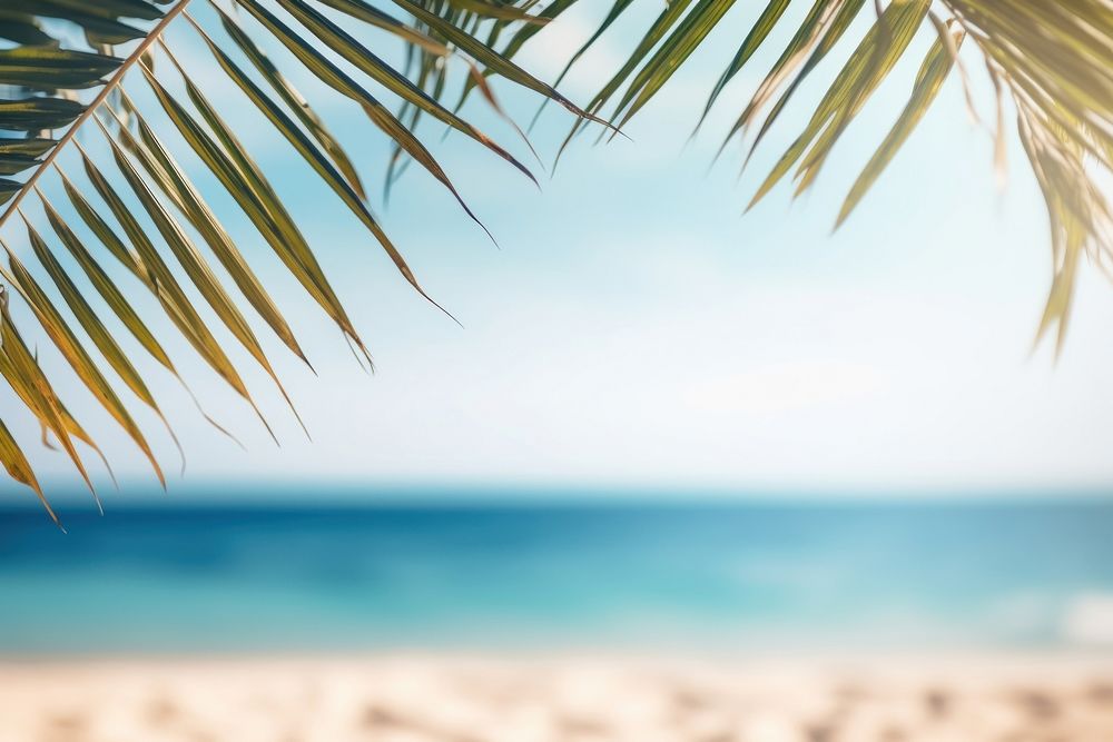 Summer background beach backgrounds outdoors. AI generated Image by rawpixel.