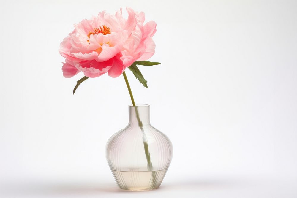 Peony vase flower plant. AI generated Image by rawpixel.