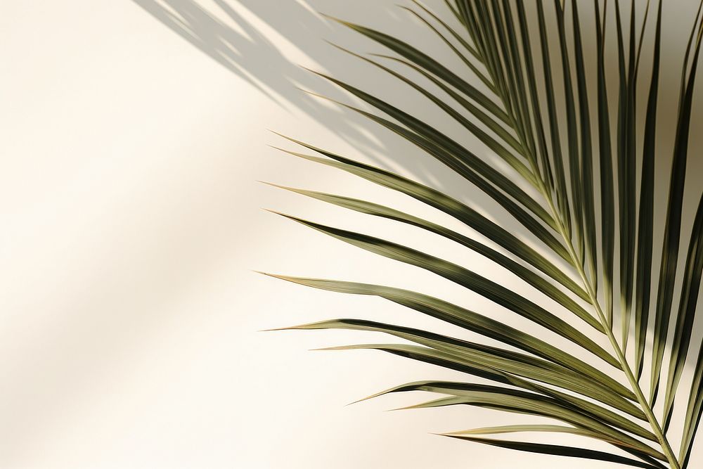 Palm leaves plant leaf tree. AI generated Image by rawpixel.
