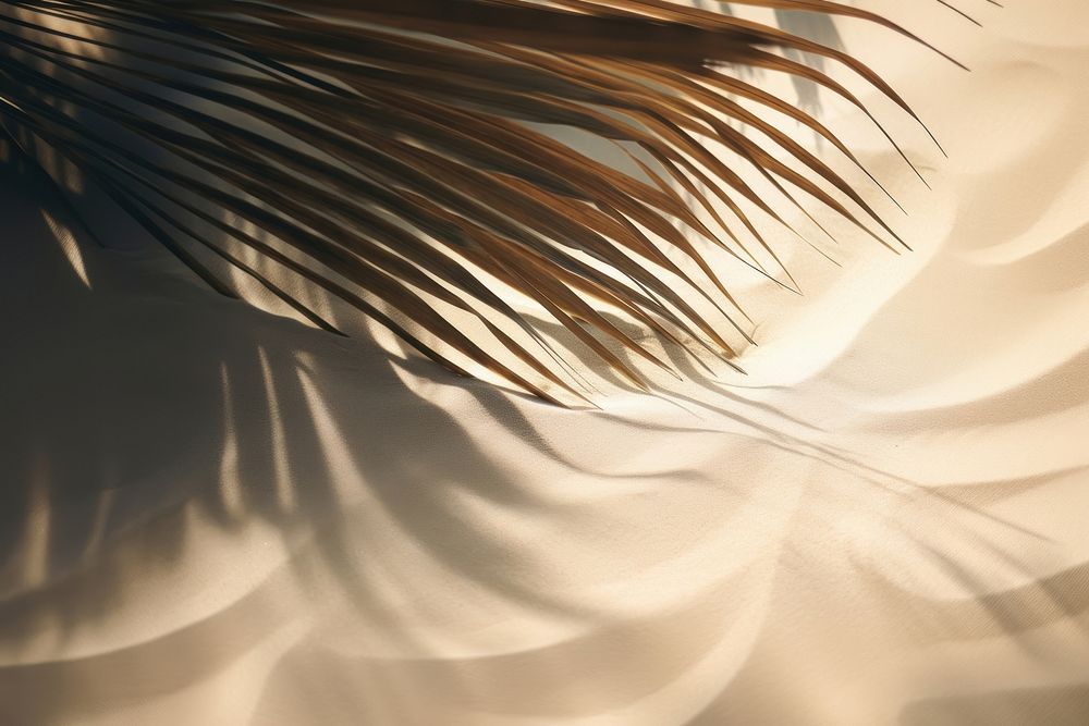 Palm leaves nature shadow sand. AI generated Image by rawpixel.