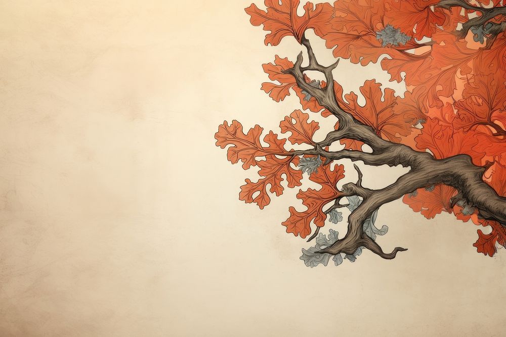 Oak leaves backgrounds plant maple. AI generated Image by rawpixel.