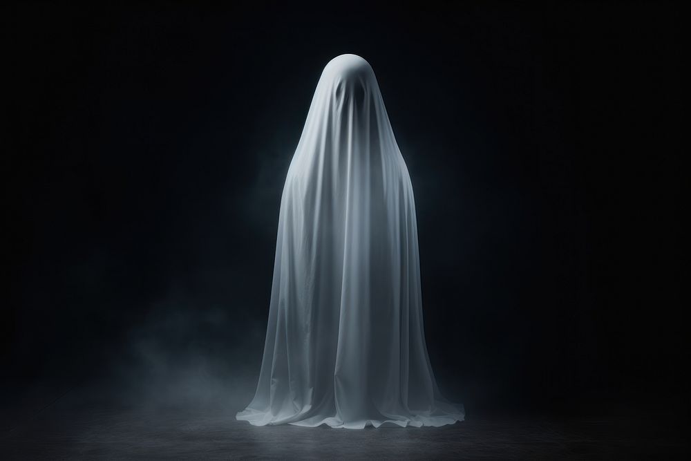 A white ghost horror dress veil. 