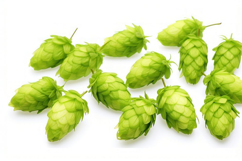 Hop cones green plant food. AI generated Image by rawpixel.