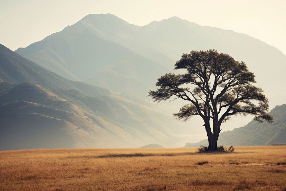 Scenery landscape field tree. AI generated Image by rawpixel.