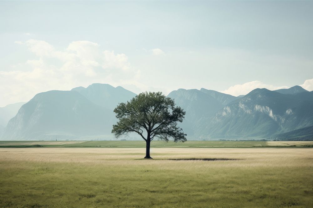 Scenery landscape tree mountain. AI generated Image by rawpixel.