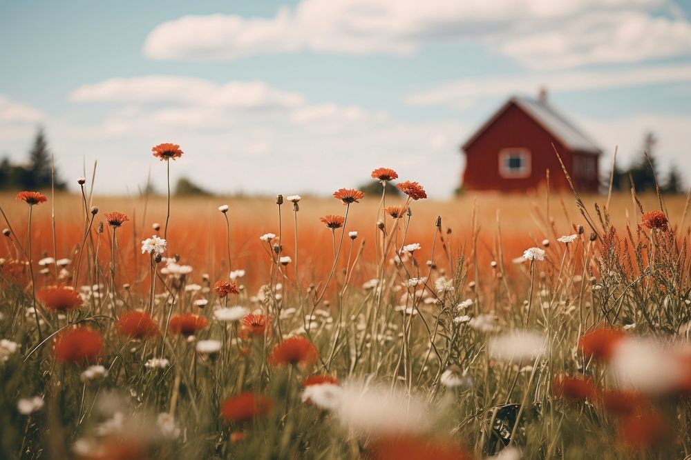 Scenery red house with flowers landscape nature field. AI generated Image by rawpixel.