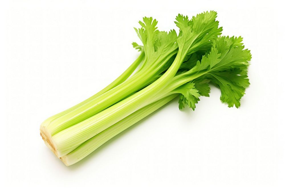 Fresh green celery vegetable parsley plant. AI generated Image by rawpixel.