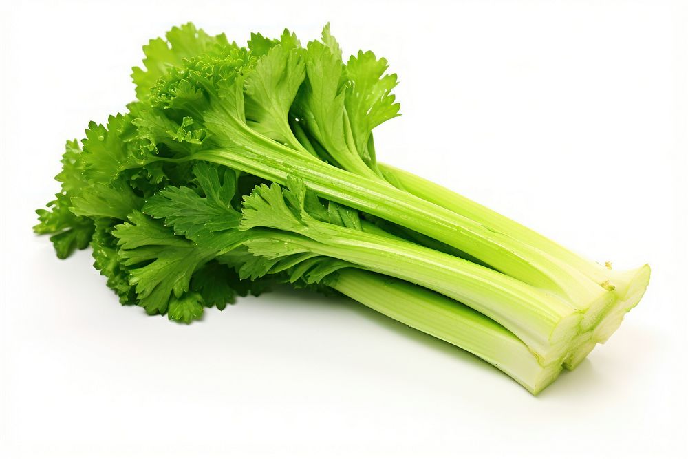 Fresh green celery parsley plant herbs. AI generated Image by rawpixel.