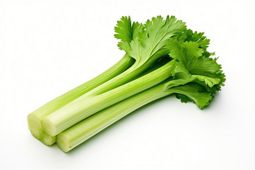 Fresh green celery vegetable plant herbs. AI generated Image by rawpixel.