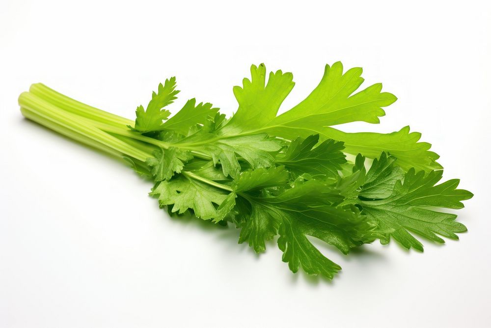 Celery leaf parsley plant green. AI generated Image by rawpixel.