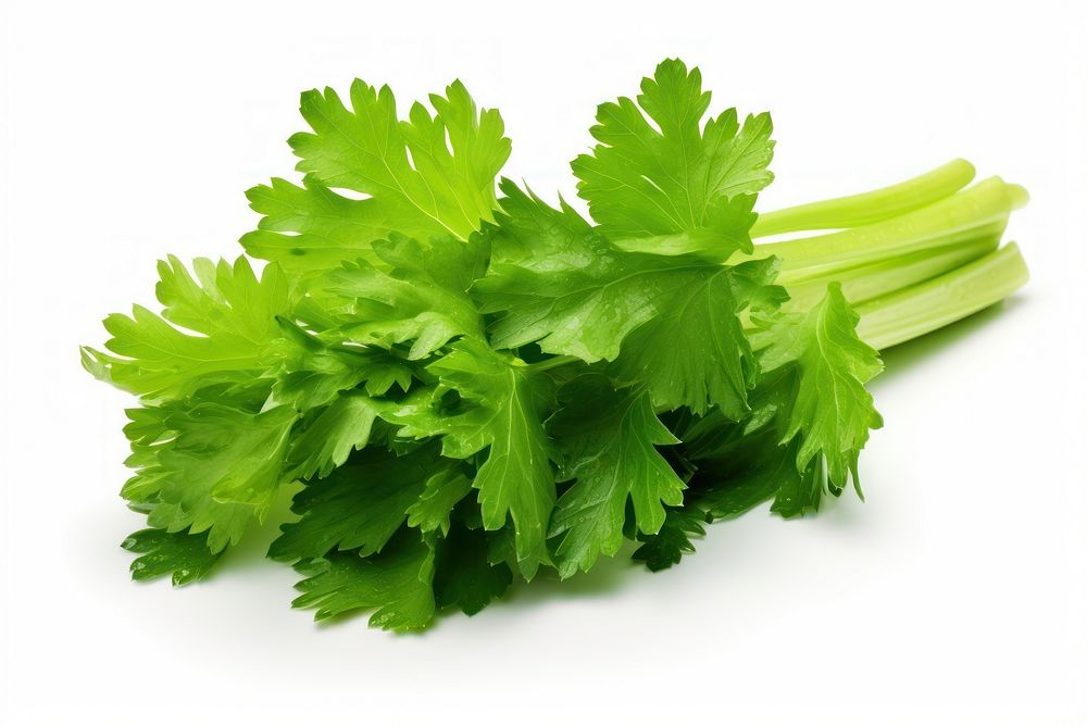 Celery leaf parsley plant green. AI generated Image by rawpixel.