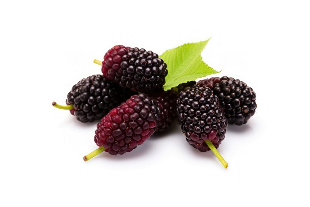 Berry type blackberry fruit plant. AI generated Image by rawpixel.