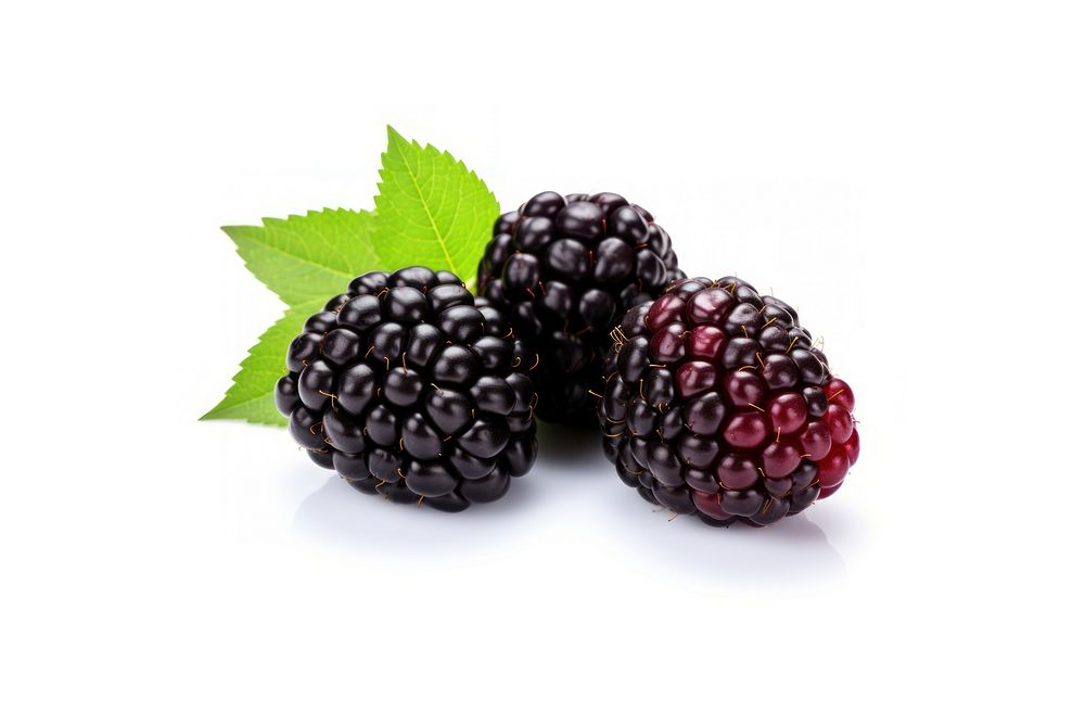 Berry type blackberry fruit plant. AI generated Image by rawpixel.