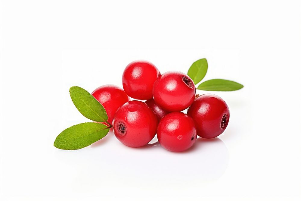 Berry type lingonberry fruit plant. AI generated Image by rawpixel.