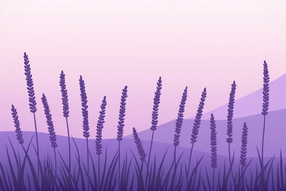 Lavender lavender backgrounds outdoors. AI generated Image by rawpixel.