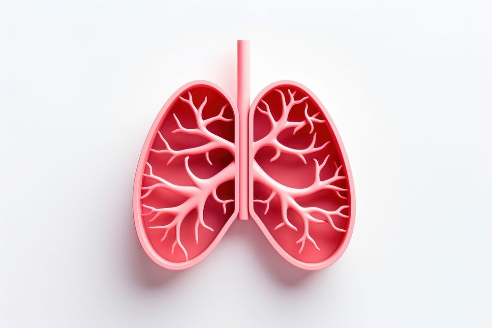 Lungs heart red accessories. AI generated Image by rawpixel.